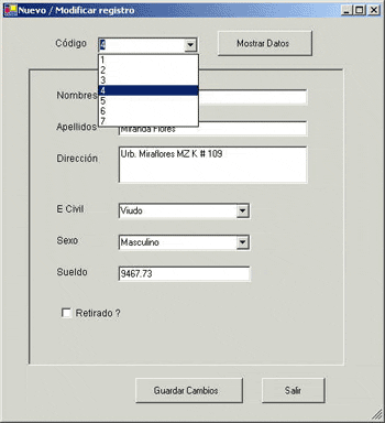 Nuevo/Modificar Registro