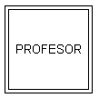 Entidad Débil Profesor