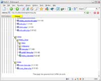 Figura 2: Script ejecutado en el plug-in de Internet Explorer