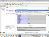 Figura 4: Tiempo de ejecución de phpinfo()