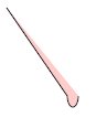 camino-elipse.svg